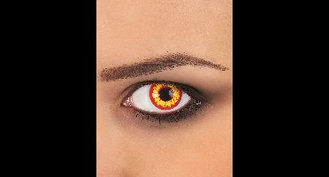 Lenzen - Geel - Ork - Weeklenzen