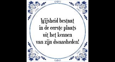 Tegeltje met Spreuk (Tegeltjeswijsheid): Wijsheid bestaat in de eerste plaats uit het kennen van zijn dwaasheden! + Kado verpakking & Plakhanger