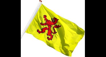 ZUID-HOLLANDSE VLAG 20X30