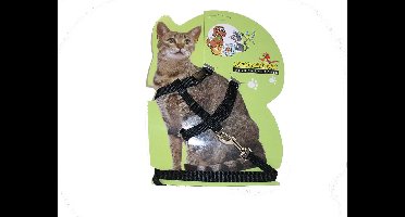 kattentuigje- zwart met lijn-Animal King