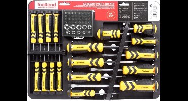 Toolland Schroevendraaier- en bitset met houder, 60-delig, magnetisch, chroom-vanadium, wandmontage