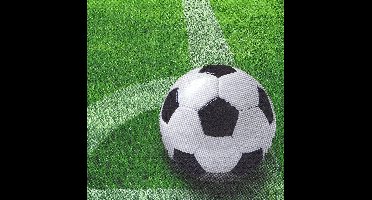 Servetten voetbal - 20 stuks