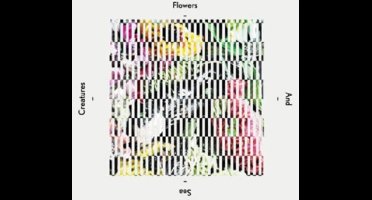 Flowers And Sea Creatures