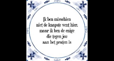 Tegeltje met Spreuk (Tegeltjeswijsheid): Ik ben misschien niet de knapste vent hier, maar ik ben de enige die tegen jou aan het praten is + Kado verpakking & Plakhanger