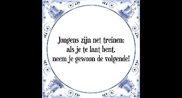 Tegeltje met Spreuk (Tegeltjeswijsheid): Jongens zijn net treinen; als je te laat bent, neem je gewoon de volgende! + Kado verpakking & Plakhanger