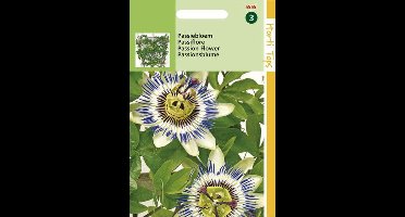 Hortitops Passiebloem
