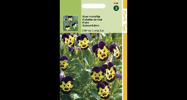Hortitops Zaden - Viola Cornuta Johnny Jump Up (Helen Mount)