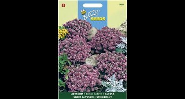 Sneeuwtapijt Royal Carpet - Alyssum maritima