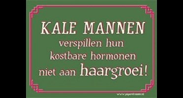 Kale mannen verspillen hun kostbare hormonen niet aan haargroei! Metalen humorbordje 15x21cm