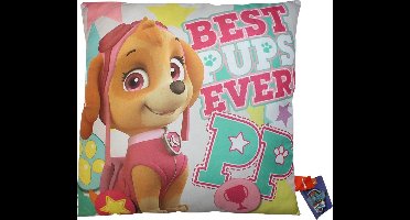Nickelodeon Sierkussen Paw Patrol 40 X 40 Cm