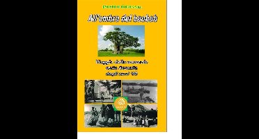 All'ombra del baobab