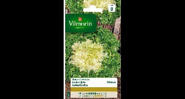 Krulandijvie Gekrulde van Meaux