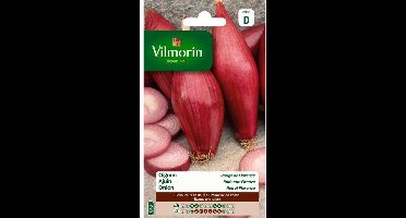 Ajuin Rode van Firenze