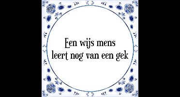 Tegeltje met Spreuk (Tegeltjeswijsheid): Een wijs mens leert nog van een gek + Kado verpakking & Plakhanger