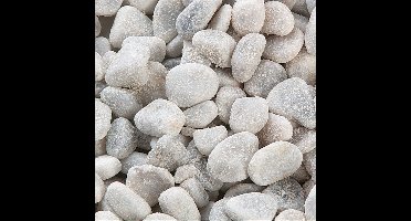 Flamingo - Aquariumbodembedekking Carara Rond - Grijs - 21.5 x 15 x 2.5 cm - 1 kg