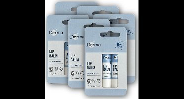 Derma Family Lip Balm - Parfumvrij - verzorgt Droge en Gesprongen lippen - Hypoallergeen- 6 x 2st pack