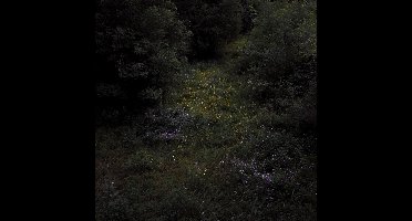 Fireworks - Higher Lonely Power (LP) (Coloured Vinyl) (Limited Edition)