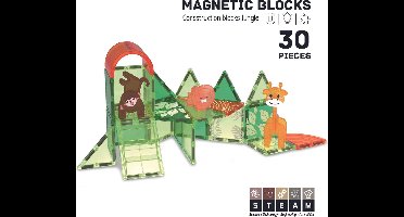 Roosly Magnetisch Speelgoed - Magnetic Tiles - 30stuks Jungle - Constructie speelgoed - Magnetische tegels - Montessori speelgoed - Magnetic toys - Magnetische bouwstenen - Speelgoed Kinderen