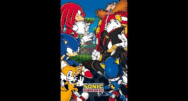 Poster Sonic Group 61x91,5cm