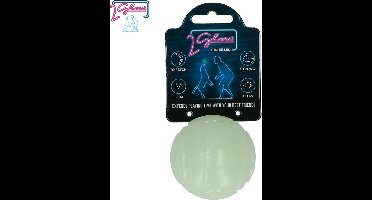 2 Glow Fetch and catch - Hondenspeelgoed - Kauwspeeltje - TPR Rubber - ø 6 cm - Glow in the dark