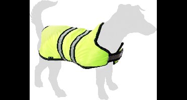 Flamingo Winterjas Eisbär voor Honden - Fluo Geel - Maat 55 cm (A: 55 cm, B: 57-66,5 cm, C: 70-77 cm) - Ideaal voor Border Collie, Cocker Spaniel, Labrador, Vizsla en Beagle