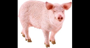 Schleich 17071 Varken Zeug