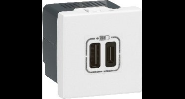 Legrand Mozaïek USB Oplader Type C 2 Module Wit - 077590 - E3J3M