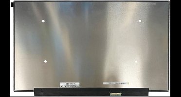LCD scherm geschikt voor Asus ROG Strix Scar 17 G733PZ (240Hz)