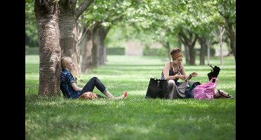 Very Good Girls - Die Liebe eines Sommers/Blu-ray