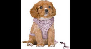 Trixie - Hondentuig - Junior - Puppy Softtuig - Met Riem - Lila - 36-50X1 cm/2 m
