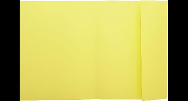 Exacompta 5x SUPER 210 - Pak van 50 dossiermappen met 1 klep - 24x32cm - Kanariegeel - 339005E