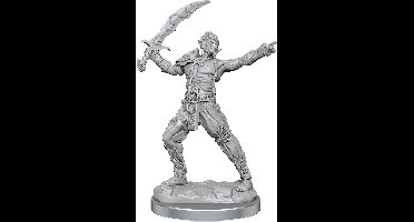 D&D Nolzur's Marvelous Miniatures Githyanki