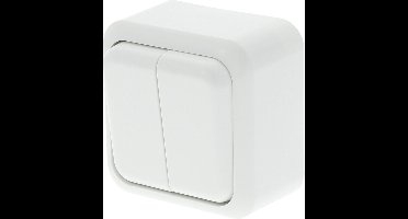 Q-LINK - Serieschakelaar - Opbouw - Dubbel Schakelaar - Polarwit