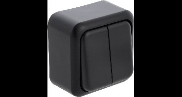 Q-LINK - Serieschakelaar - Opbouw - Dubbel Schakelaar - Mat Zwart