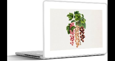 Laptop sticker - 14 inch - Eten - Bessen - Plant - 32x5x23x5cm - Laptopstickers - Laptop skin - Cover