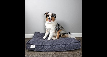 D&d Home - Dierenkussen - Hond - Steve Hondenkussen L - 110x80x12cm Blauw - 1st