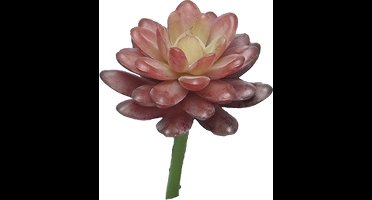 Nova nature - Kunst Sedum pick bordeaux - 16 cm