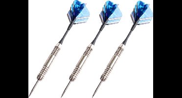 Dartpijlen - 9x stuks - in opberg etui - 24 grams - darten pijltjes