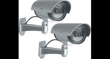 ELRO CDB25S-2 Outdoor Dummy Camera met LED's - 2 Pack