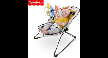 Fisher Price Baby Automatische Wiebelstoel - Lion