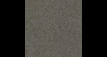 Dutch Wallcoverings vliesbehang uni - bruin