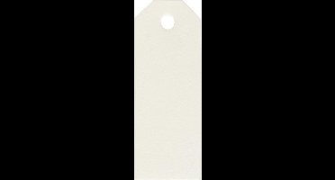 Manilla-labels, afm 3x8 cm, 220 gr, off-white, 20 stuk/ 1 doos