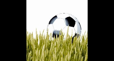 Duni servetten voetbal       @ 20 st