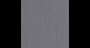 Bresser BR-9 Uitwasbare 2.5x3m Achtergronddoek Grijs