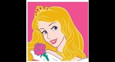 Borduurpakket voorgedrukt Disney Princess Doornroosje