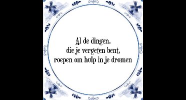 Tegeltje met Spreuk (Tegeltjeswijsheid): Al de dingen, die je vergeten bent, roepen om hulp in je dromen + Kado verpakking & Plakhanger