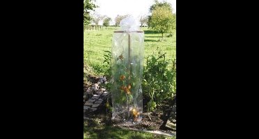 BUIS- OF TOMATENFOLIE