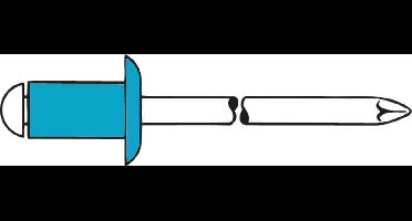 Gesipa 1433646 Standaard blindklinknagel - Platbolkop - Open - A2 IN/IN - 5 x 20mm (250st)