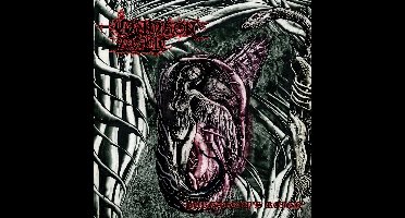 Purgatory's Reign