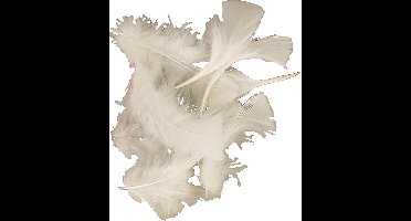Creotime Dons, afm 7-8 cm, wit, 500 gr